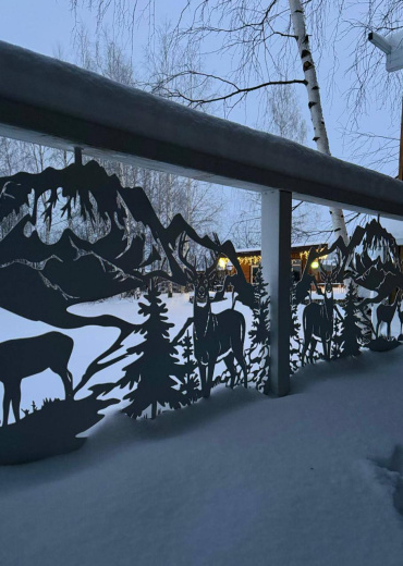 Декоративное ограждения из металла для придомовой территории